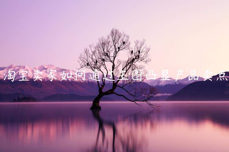 淘寶賣家如何通過(guò)主圖凸顯產(chǎn)品賣點(diǎn)